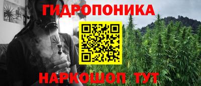 дурь Гагарин
