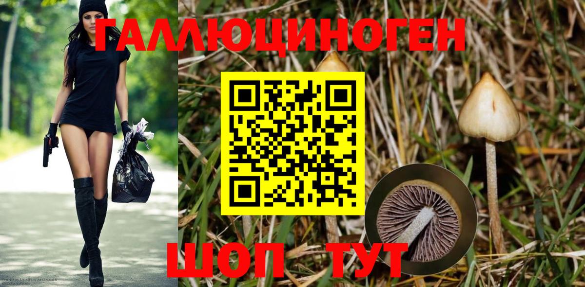 Псилоцибиновые грибы Magic Shrooms Карасук