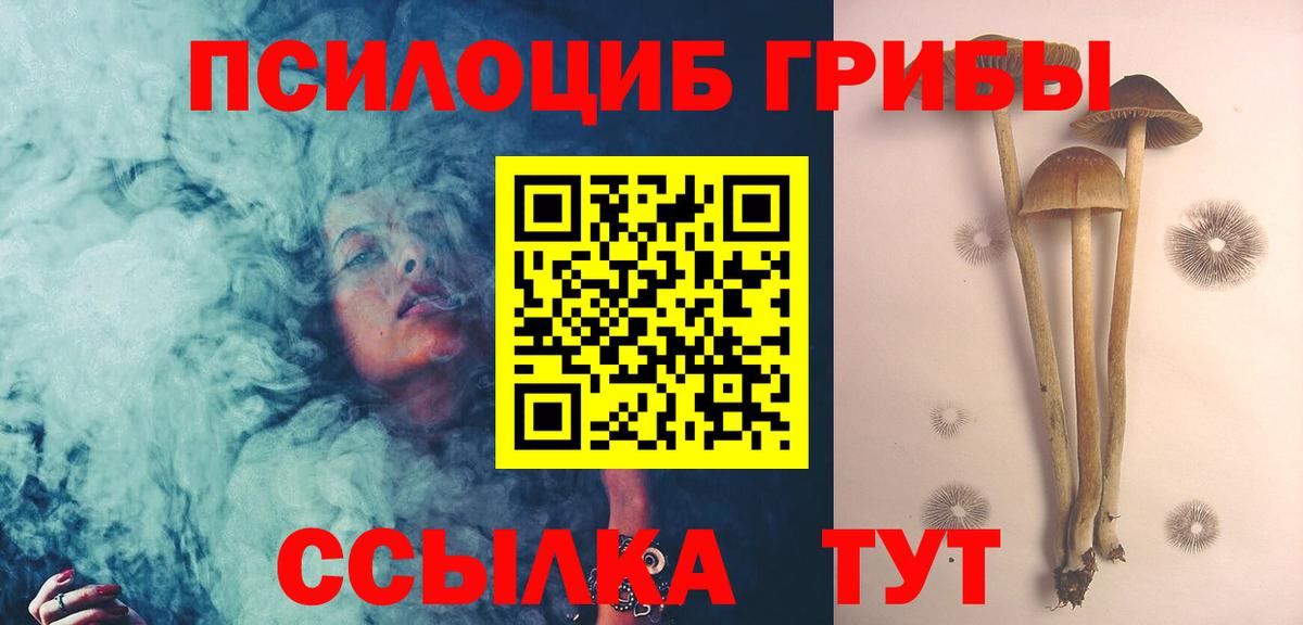 Галлюциногенные грибы Psilocybe  Вход с VPN  Карасук 